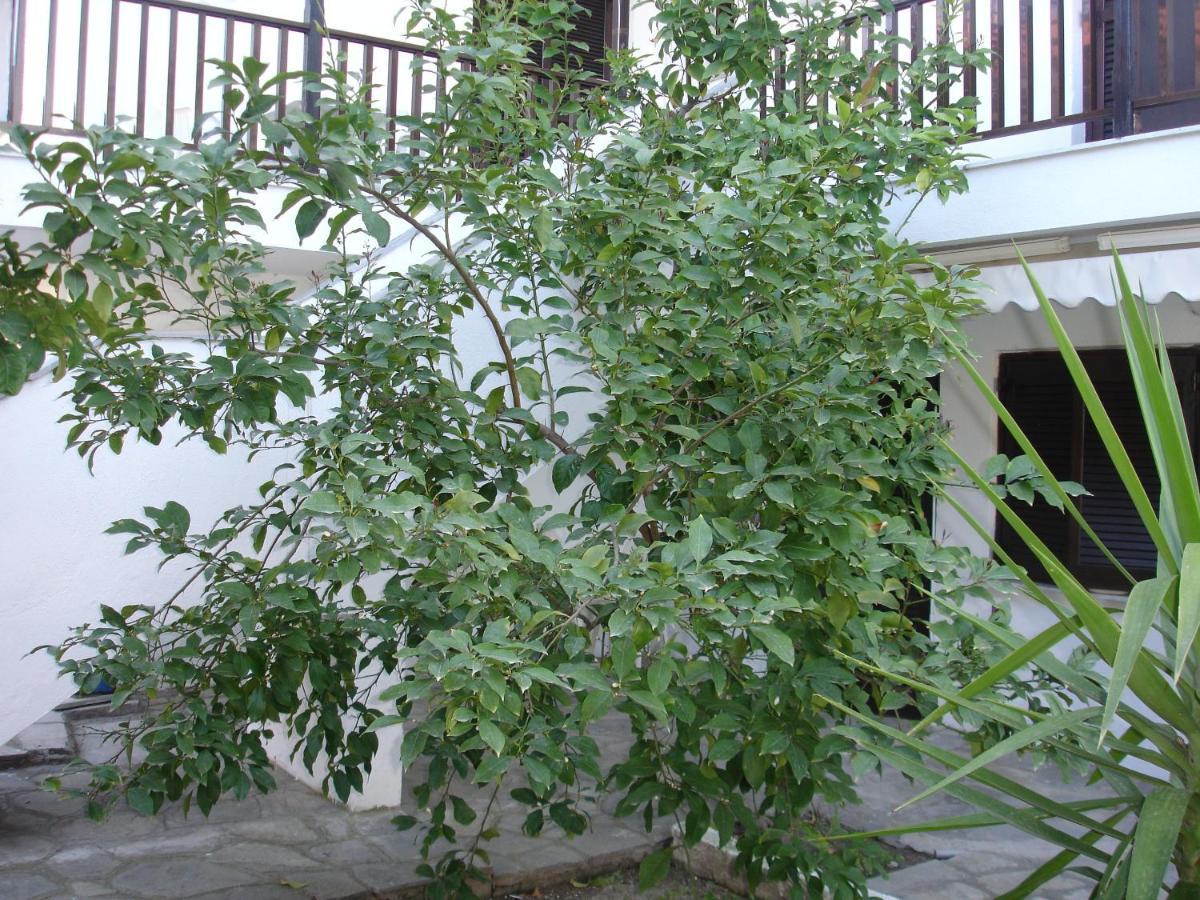 Dionysus-Mihanicus Ierissós Exterior foto